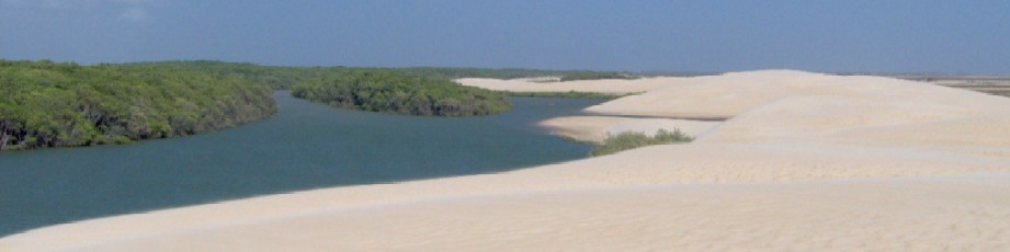 Une belle dune !